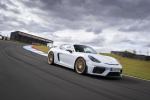 Porsche 718 Cayman GT4 2019 года (WW)